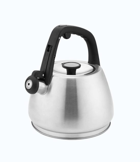 Virdulys Edenberg 3,0l. su švilpuku